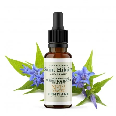 Fleur de bach gentiane n°12 bio (gentian) - 1
